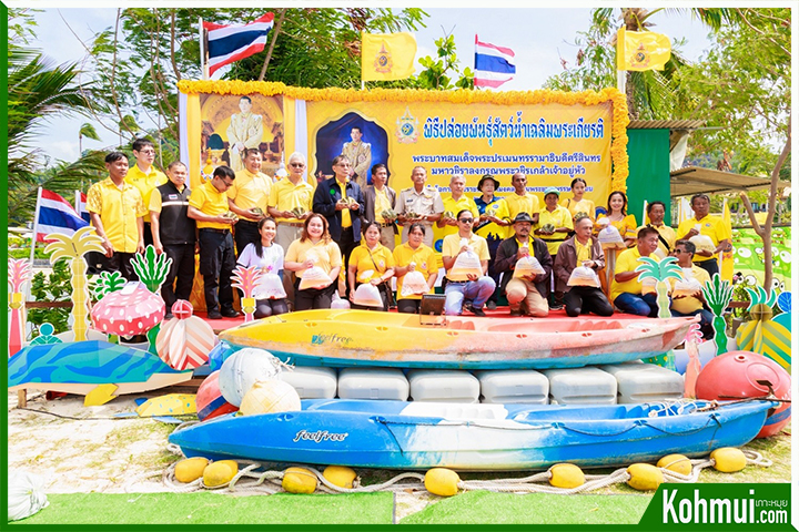 ปล่อยพันธุ์สัตว์น้ำ เกาะสมุย