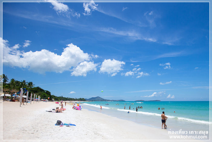 The Beach Bar Samui