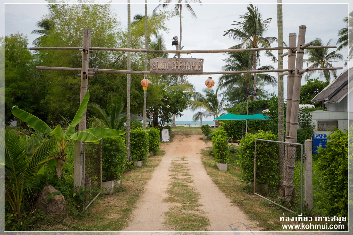 Three Trees Samui Resort