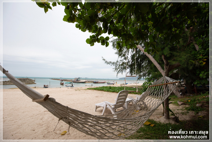 SamuiCaravans Beach Camp