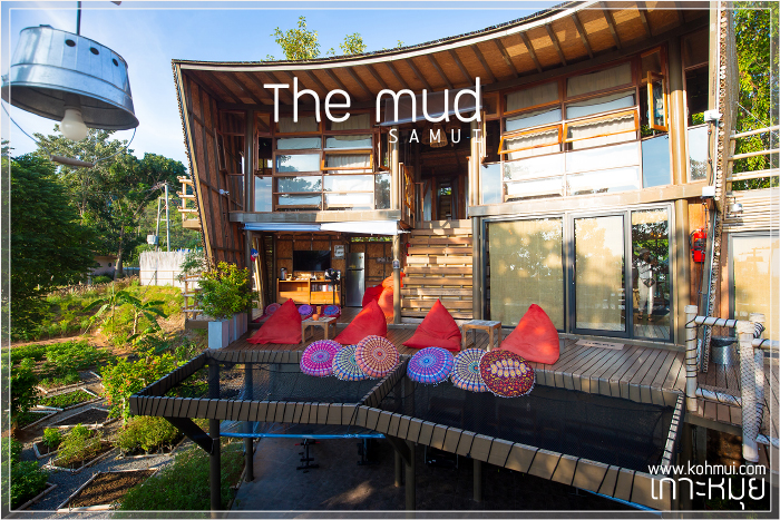 The mud Samui