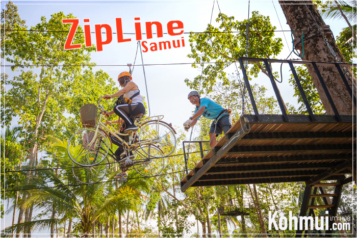 samui zipline